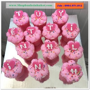 Bánh Sinh Nhật Cupcake - CUP07